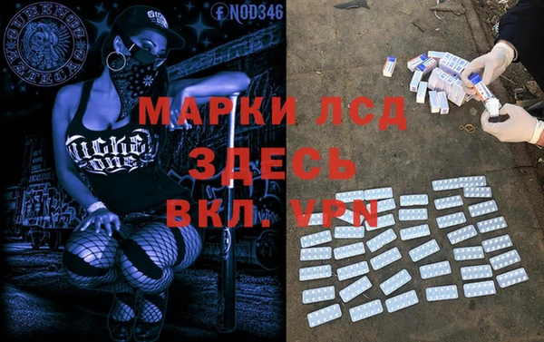 дурь Алзамай